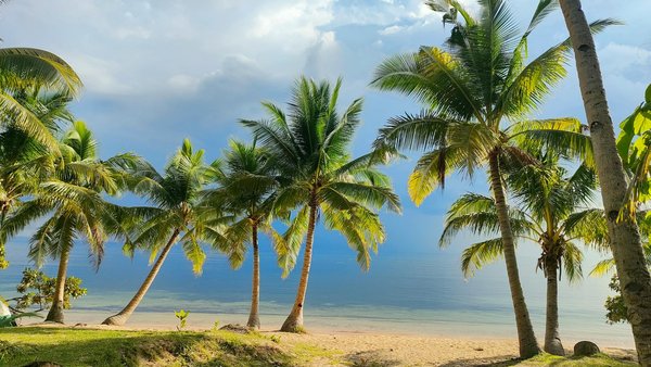 Les meilleures bars abordables à paris pour sortir malin